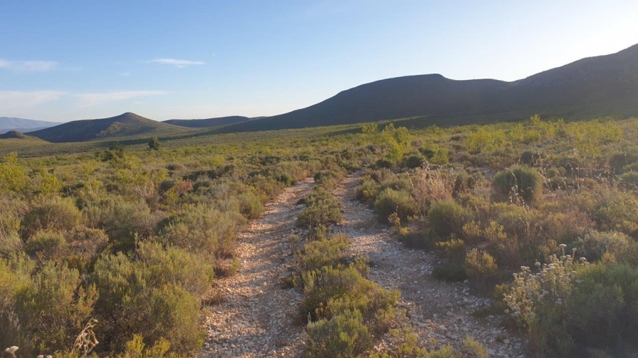 0 Bedroom Property for Sale in Ladismith Rural Western Cape